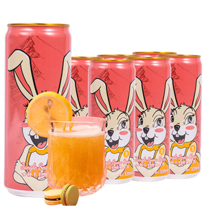 Factory Wholesale 330ml 500ml Private Brat Craft Fruit Sabor Beer Alcoolic Beverages 